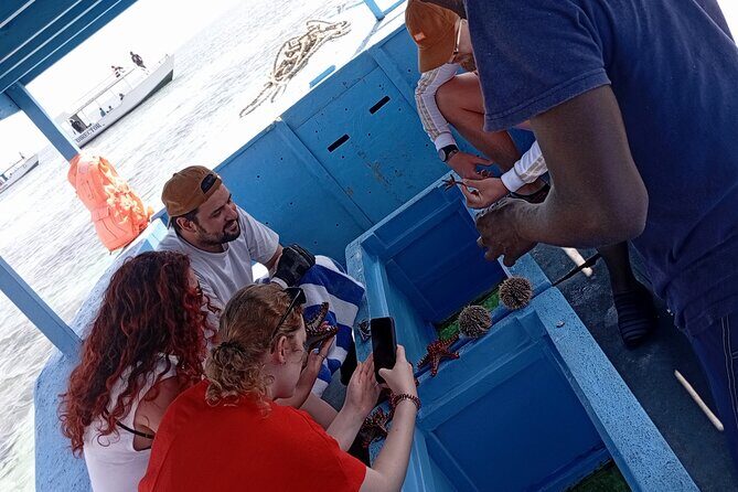 Diani Beach: Glass-bottom Boat Ride with Underwater Show - How This Tour Adds Value for Travelers