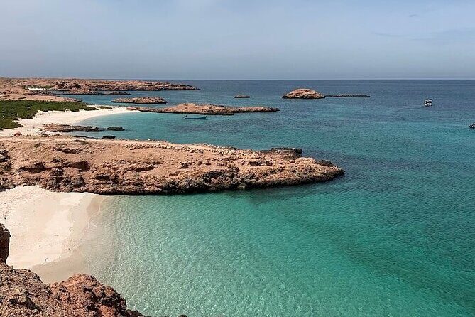 Dimaniyat Island Tour with Snorkeling - Practical Details and Considerations