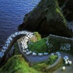 Dingle Peninsula Four Hour Private Tour - Who Will Love This Tour?