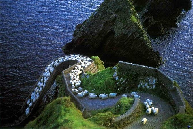 Dingle Peninsula Four Hour Private Tour - Who Will Love This Tour?