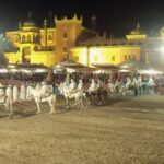 Dinner and Fantasia Show in Marrakech - Who Will Love This Experience?