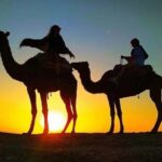 Dinner Under the Stars Desert Agafay & Sunset Camel Ride - What We Loved About the Tour