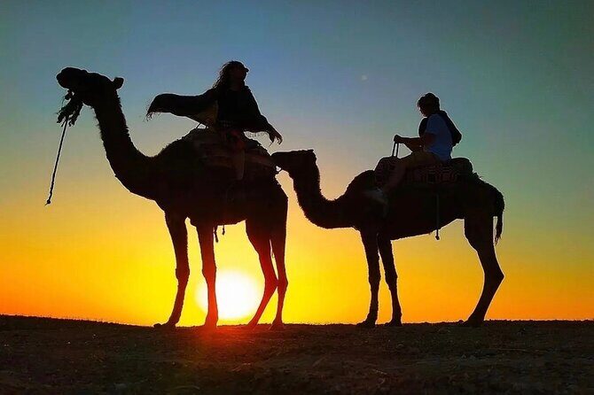 Dinner Under the Stars Desert Agafay & Sunset Camel Ride - What We Loved About the Tour