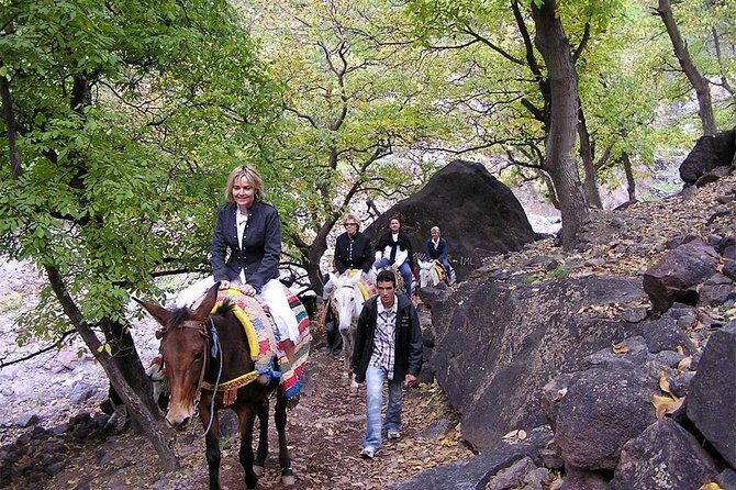 Discover Berber Villages & Atlas Mountains -- Private Trip-- - Why This Tour Is Worth It