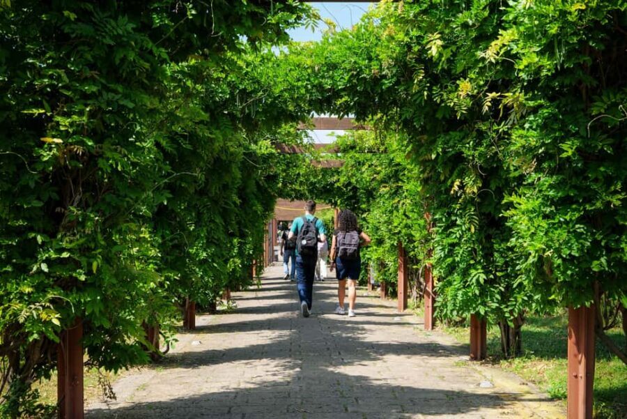 Discover Herculaneum: Guided tour in English of the ancient Roman city - The Experience in Detail
