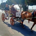 Discover Luxor City Tour by Horse Carriage - Who Will Love This Tour?