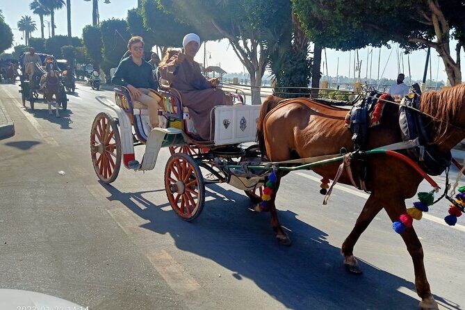 Discover Luxor City Tour by Horse Carriage - Who Will Love This Tour?