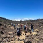 Discover Mount Teide and the Arenas Negras volcano on an intimate tour from the north. - Key Points