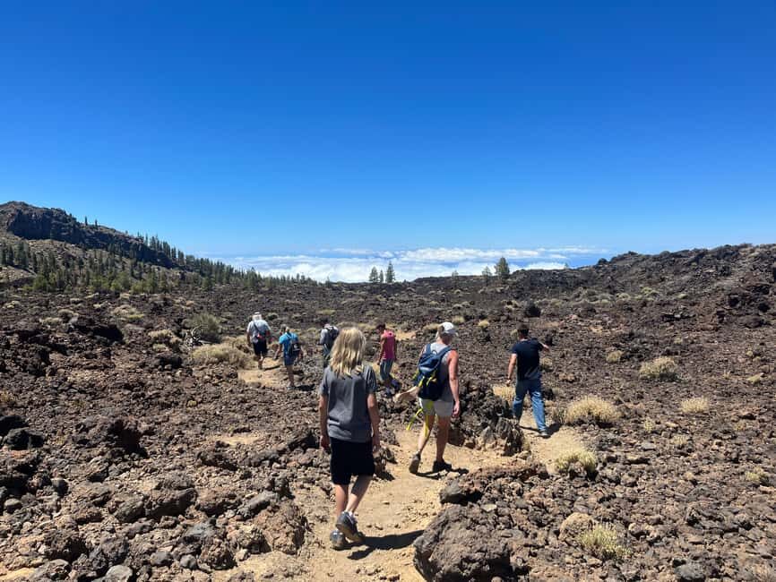 Discover Mount Teide and the Arenas Negras volcano on an intimate tour from the north. - Key Points