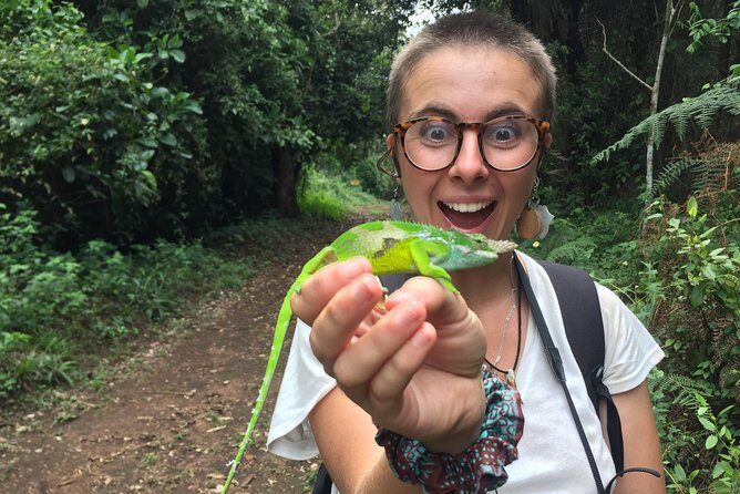 Discover Nature and Culture of Materuni Waterfall & Coffee Tour - What Travelers Say