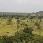 Discover Nature at Shai Hills - Who Will Love This Tour?