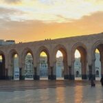 Discover Rabat: A Captivating Day Trip from Casablanca - Transportation and Logistics