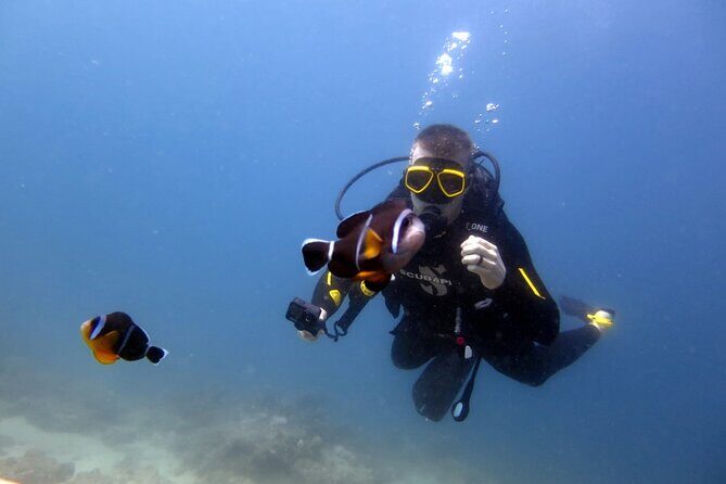 Discover Scuba Diving Experience - Who Should Consider This Tour?