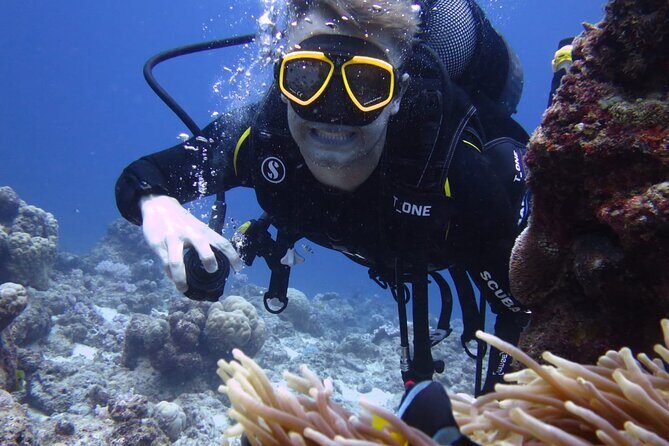 Discover Scuba Diving Experience- Bel Ombre - Why This Tour Offers Great Value