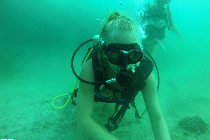 Discover Scuba Diving in Fujirah Dibba - The First Stop: Seabreacher Diving Club and Water Sports