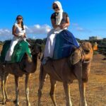 Discover Tangier in a Full Day Tour with Camel ride - The camel ride experience