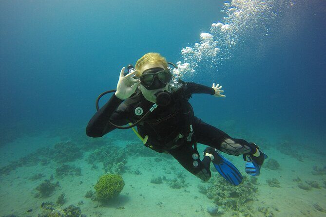 Discover the Depths: Aqaba's Ultimate private Dive Experience - Authentic Experiences from Past Travelers