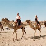 Discover the Desert Magic with an Exciting Camel Ride - Hurghada - Why You Should Book This Camel Ride