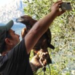 Discover the fantastic world of birds of prey in the Pollino National Park. - Detailed Breakdown of the Experience