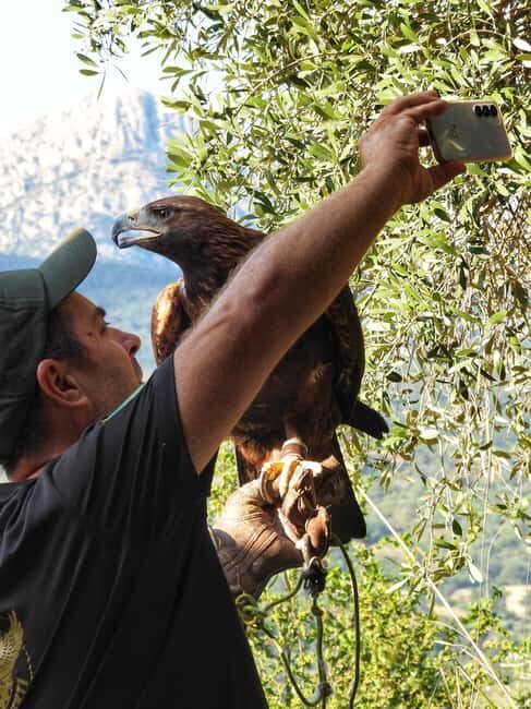 Discover the fantastic world of birds of prey in the Pollino National Park. - Detailed Breakdown of the Experience