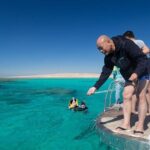 Discover the Magic in Snorkeling Expedition to Dolphin House - The Sum Up