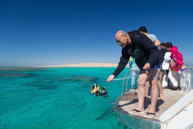 Discover the Magic in Snorkeling Expedition to Dolphin House - The Sum Up