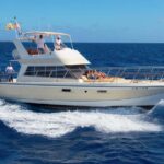 Discover whales in Tenerife: exclusive yacht tour with swimming and lunch. - The Itinerary: What to Expect from Start to Finish
