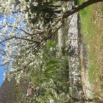 Discovering the best valley in atlas mountains and be inside the Berber culture. - Practical Tips for Travelers
