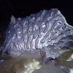 Discovery of the 2004 Coulées Tunnel in Sainte-Rose - Why This Tour Is Worth Considering