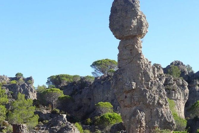 Discovery of the Grands Sites de l'Hérault from Montpellier - Transportation and Group Dynamics