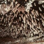 Discovery of the lava tubes 2004 of Piton de la Fournaise - Authentic Experiences Based on Reviews