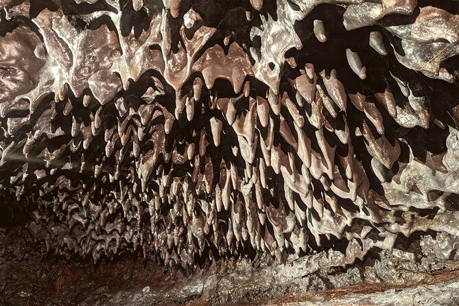 Discovery of the lava tubes 2004 of Piton de la Fournaise - Authentic Experiences Based on Reviews