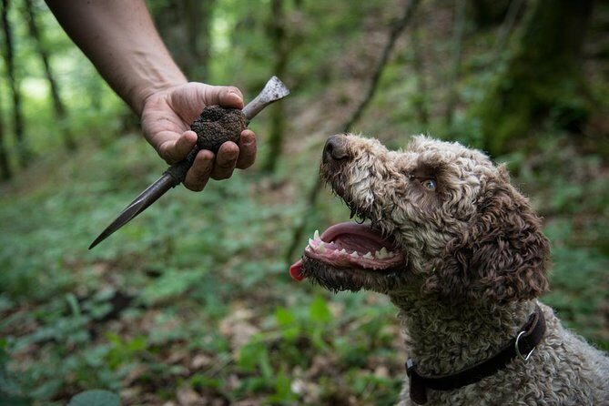 Discovery of the world of Truffles and tasting - What to Expect and Practical Details