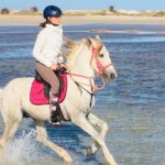 Discovery ride on horseback or camel 2h30 - The Ride: What to Expect