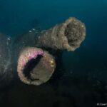 Dive the U-boat 1277 - the Most Iconic Dive in Portugal - Practical Details and Tips