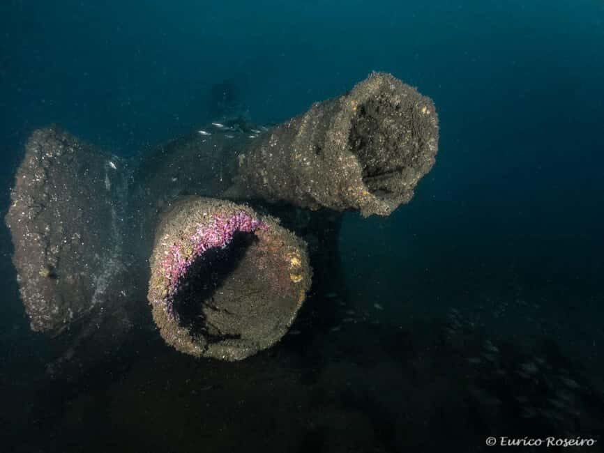 Dive the U-boat 1277 - the Most Iconic Dive in Portugal - Practical Details and Tips