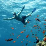 Diving and Visiting Giftun island with Snorkeling Boat Trip - Who Should Consider This Tour?