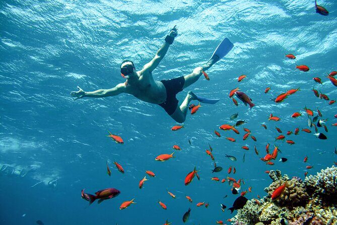 Diving and Visiting Giftun island with Snorkeling Boat Trip - Who Should Consider This Tour?