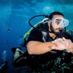 Diving for Beginner Two Dives Boat Trip with transfer in Hurghada - The Real Experience: Breaking Down the Day