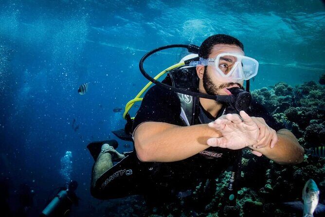 Diving for Beginner Two Dives Boat Trip with transfer in Hurghada - The Real Experience: Breaking Down the Day