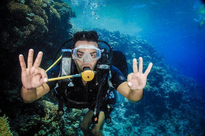 Diving in Hurghada for Beginners With Lunch and Transfer - Authentic Insights from Reviewers