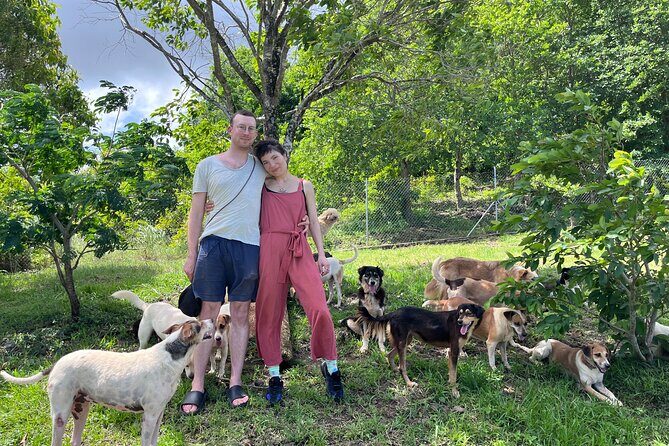 Dog Lover's guided tour of the Happy Tails Sanctuary - Why This Tour Stands Out