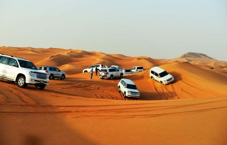 Doha: Beaches visit with Dune Bashing and SandBoarding - Sandboarding on Dunes