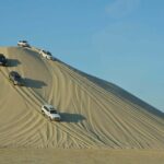 Doha City and Desert Safari Tours (Combo Tour) - Final Thoughts: Who Would Love This Tour?
