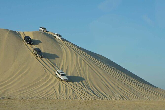 Doha City and Desert Safari Tours (Combo Tour) - Final Thoughts: Who Would Love This Tour?