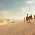Doha Combo City Tour and Desert Safari - The Crown Jewel: The National Museum of Qatar