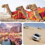 Doha : Combo Private City Tour & Half-day Desert Safari - The Sum Up