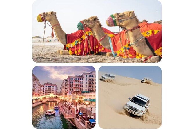 Doha : Combo Private City Tour & Half-day Desert Safari - The Sum Up