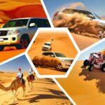 Doha: Desert Safari | Camel ride | Sand-boarding | Quad Biking - Authentic Experiences from Reviewers