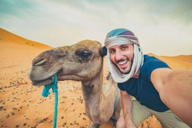 Doha Desert Safari Horse Riding, Camel Ride, ATVs & Inland Sea - Why This Tour Offers Great Value